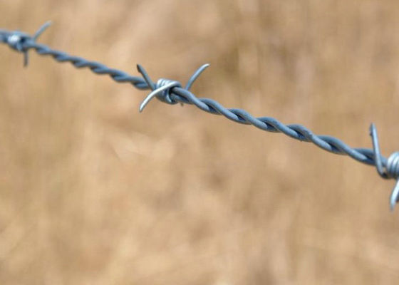 il doppio filo spinato di torsione di 2mm - di 1.4mm ha galvanizzato di superficie