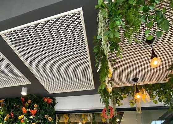 Assorbimento a prova di fuoco ampliato di rumore dell'isolamento termico del soffitto del metallo per la costruzione della decorazione superiore interna