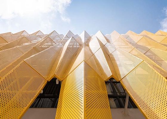 Combinazione perforata della facciata della costruzione del metallo di funzione e di estetica per progettazione architettonica della facciata