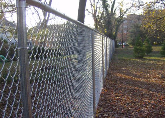 Recinzione galvanizzata 50x50mm mesh filo di acciaio a basso tenore di carbonio 6m altezza