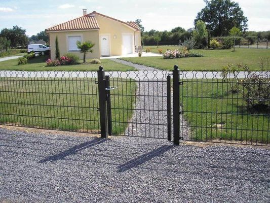 Prestige Mesh 868 Double Wire Fence 50 × 200mm per uso decorativo