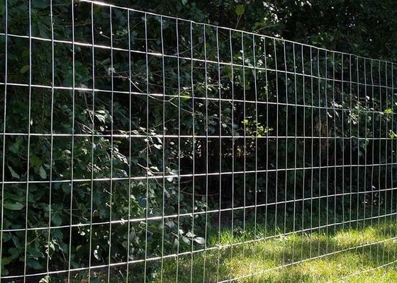 Fence laminata di filo galvanizzato saldato con maglie di dimensioni 2 x 4