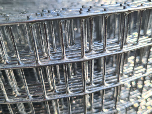 2.5-25cm Dimensione della maglia Skilled Welding Woven Welded Wire Mesh Diametro del filo 1mm-10mm