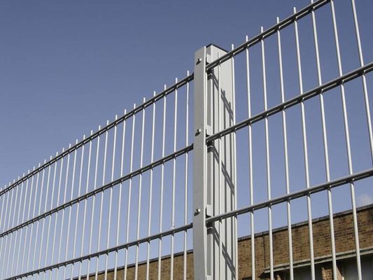 Fence a maglia di doppio filo di 2500 mm 50 × 200 mm Verde Galvanizzato Rivestito
