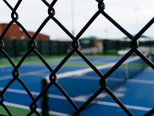 Fence a legame a catena con rivestimento in vinile di 6 calibri, altezza 50 piedi, rotolamento