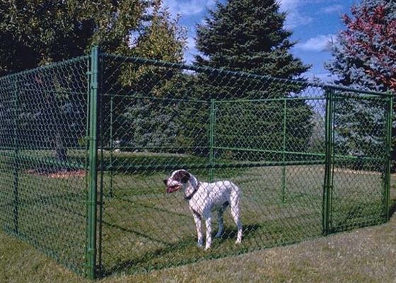 Il recinto per cani con rete metallica è rimovibile e trasportabile in vari luoghi