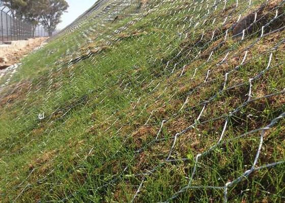 Maglia galvanizzata esagonale resistente alla ruggine per recinzioni durevoli progettata per resistere a condizioni climatiche difficili e garantire la longevità